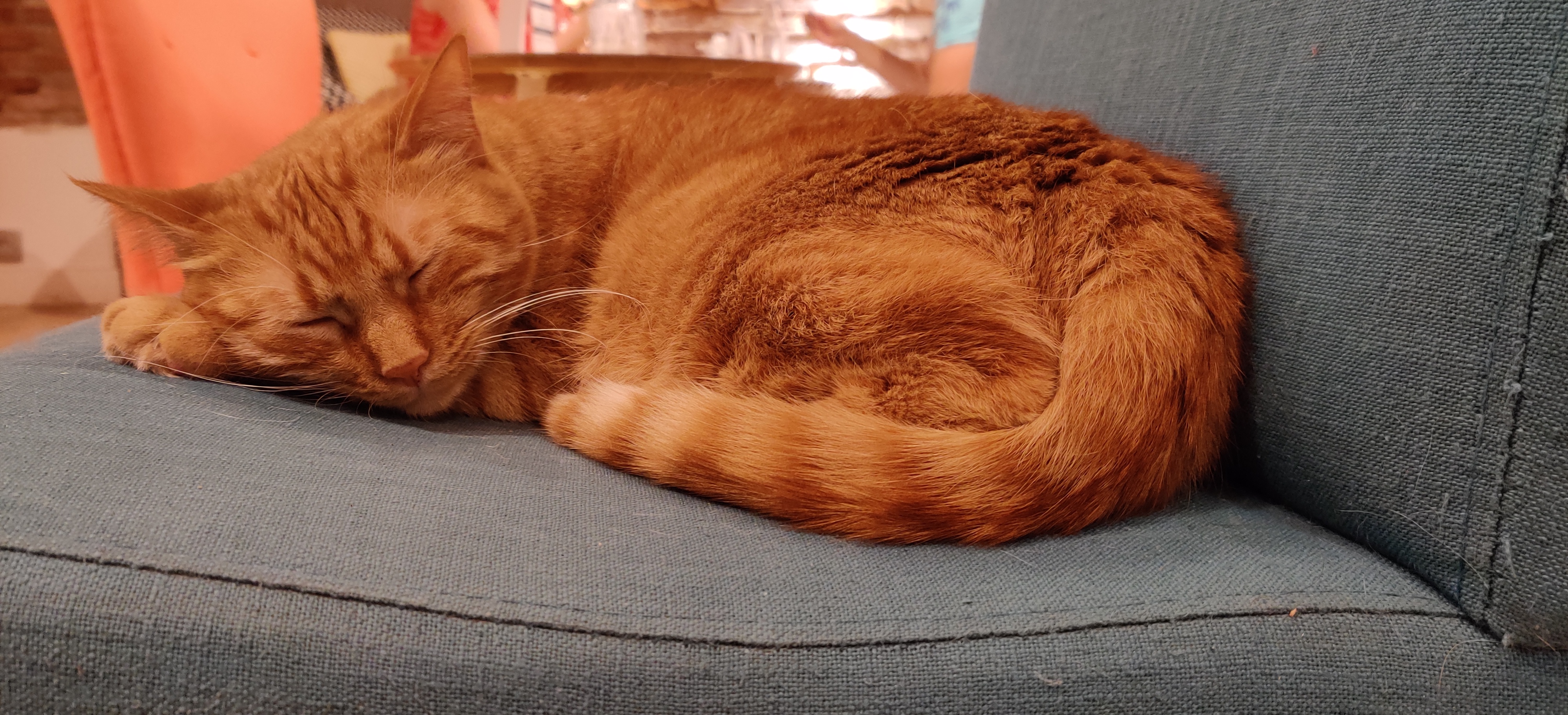 Photo n° 8 de l'avis de Quentin.I fait le 24/07/2019 à 12:59