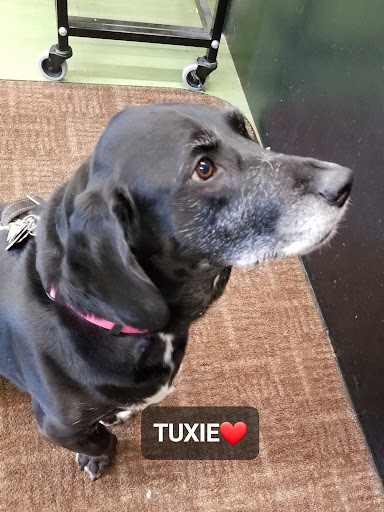 Pet Supply Store «Animal Krackers Inc», reviews and photos, 232 Main St, Gloucester, MA 01930, USA