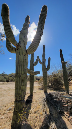 Golf Course «Quail Canyon Golf Course», reviews and photos, 5910 N Oracle Rd, Tucson, AZ 85704, USA