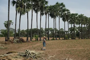 Tree Food - Myanmar Traditional Sweet & Snack image