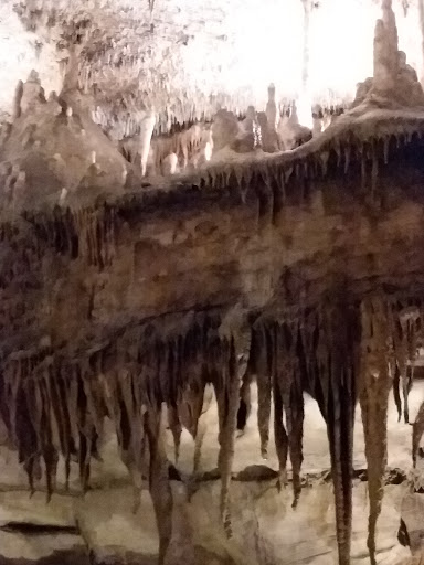 Tourist Attraction «Marengo Cave U.S. National Landmark», reviews and photos, 400 East State Rd 64, Marengo, IN 47140, USA