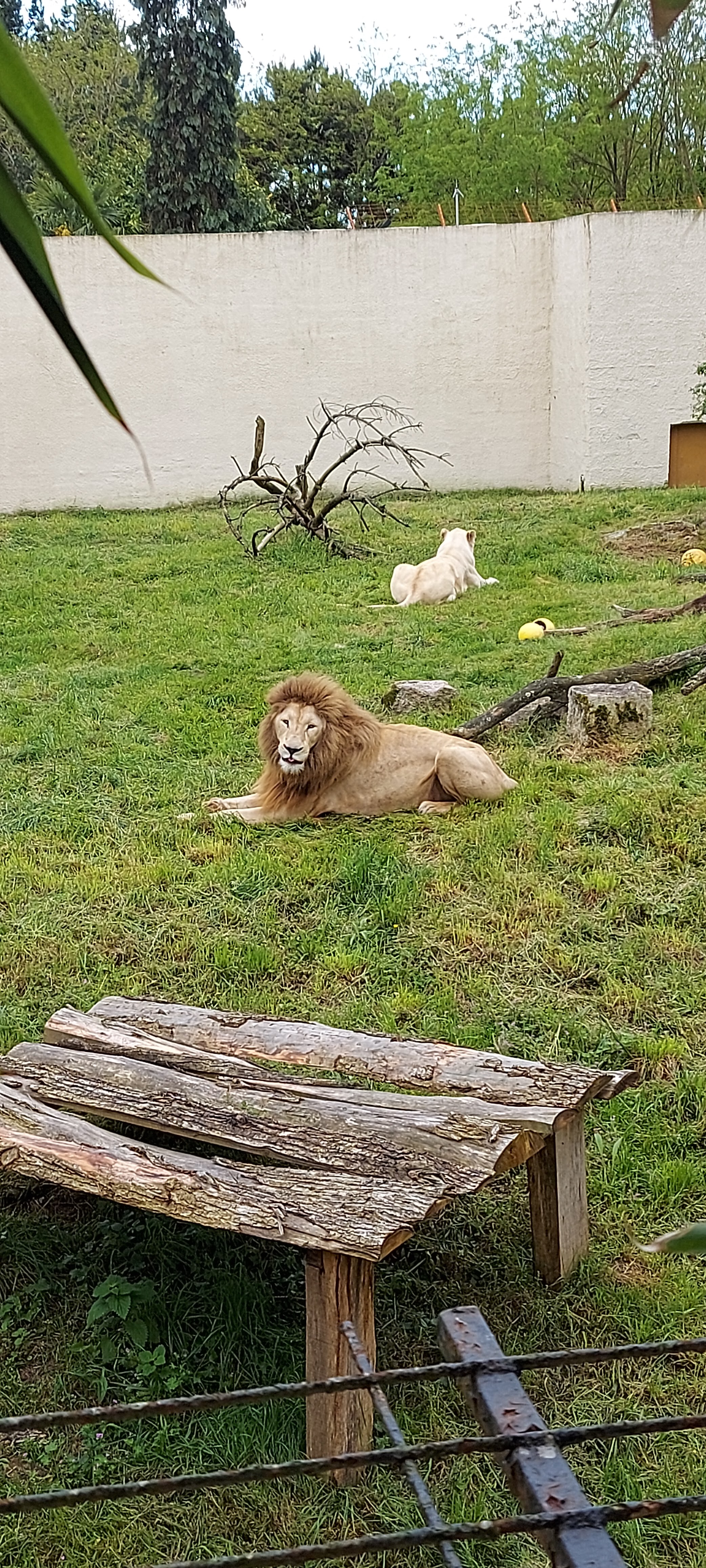 Photo n° 5 de l'avis de Thom.a fait le 03/06/2023 à 13:44