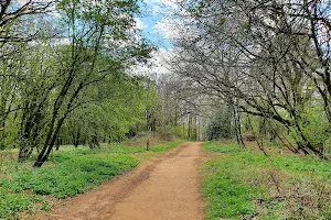 Shotover Country Park image