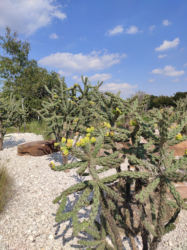 Golf Course «Glenbrook Park Golf Course», reviews and photos, 8205 N Bayou Dr, Houston, TX 77017, USA