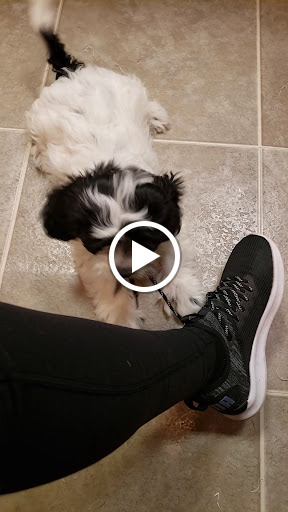 Pet Store «Perfect Pets», reviews and photos, 6840 S University Blvd #410, Centennial, CO 80122, USA