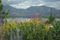 Matrix Gardens - Photo 2 - Car repair in , Boulder