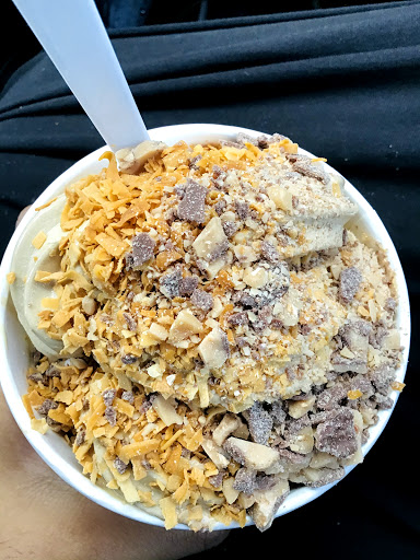 Ice Cream Shop «Yogurt Jungle», reviews and photos, 21101 N John Wayne Pkwy #105, Maricopa, AZ 85139, USA