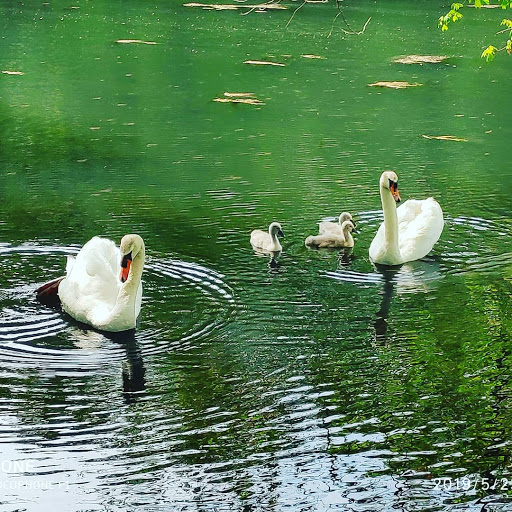 Wedding Venue «Bourne Mansion», reviews and photos, 500 Montauk Hwy, Oakdale, NY 11769, USA