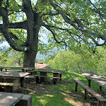 Photo n°13 de l'avis de maurizio.a fait le 05/06/2023 à 04:55 sur le  Trattoria la Quercia à Montenero Sabino