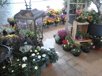 Vi.P. Artisan Fleuriste à Avranches