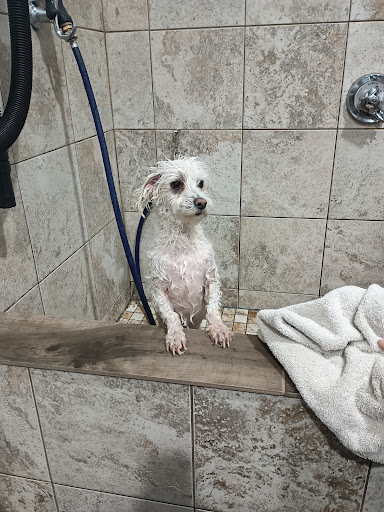 Pet Supply Store «The Natural Pet Outlet», reviews and photos, 3380 Fairfield Ave, Bridgeport, CT 06605, USA