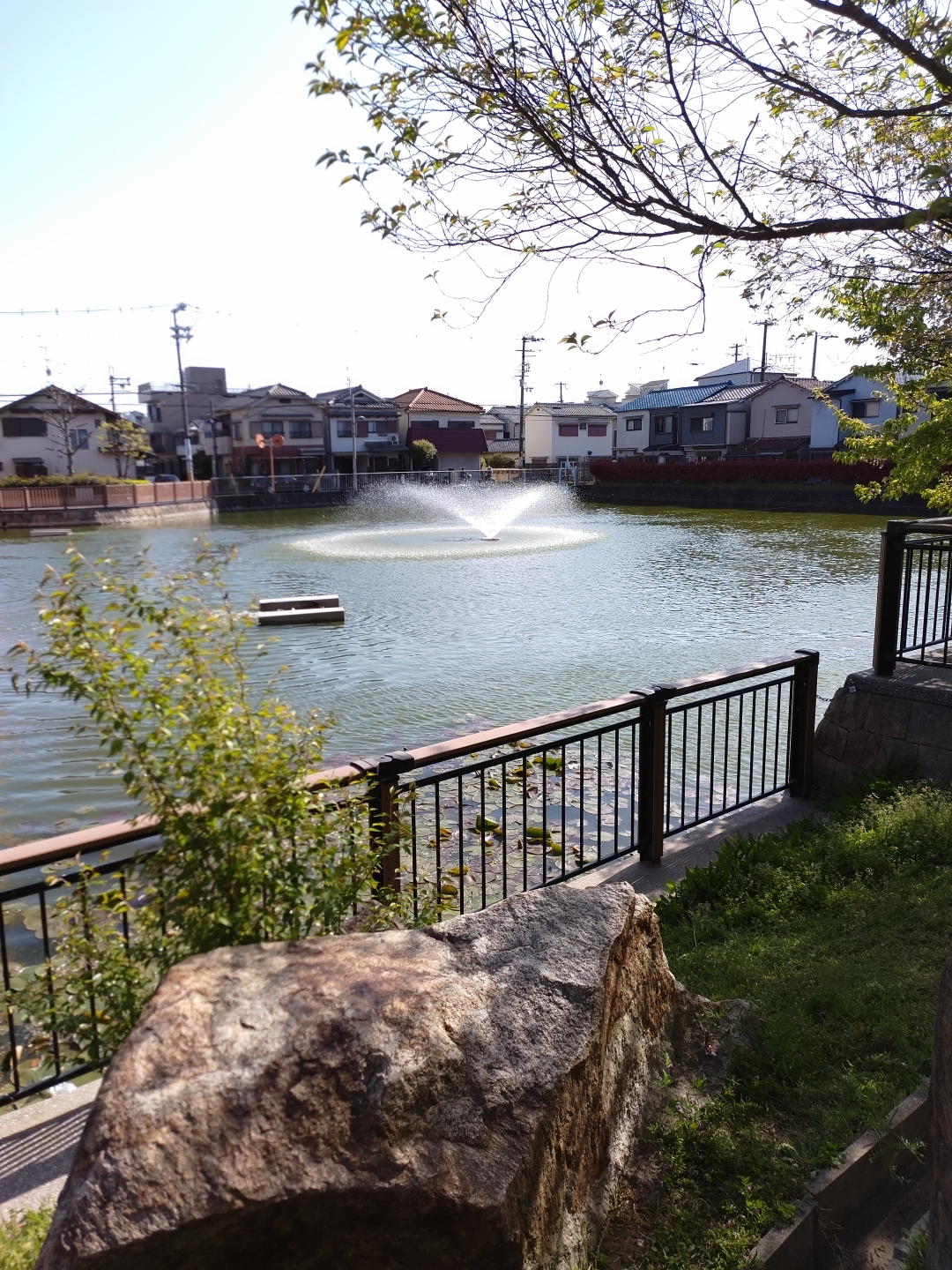 田井城今池親水公園