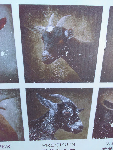 Farm «The Belmont Goats», reviews and photos, 9330 SE Harold St, Portland, OR 97266, USA