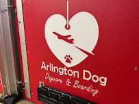 Arlington Dog Daycare and Boarding - Photo 4 - Car repair in Arlington, TX, Arlington