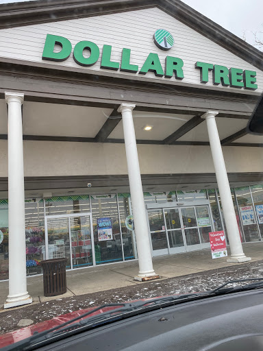 Dollar Store «Dollar Tree», reviews and photos, 1061 S York Rd, Bensenville, IL 60106, USA