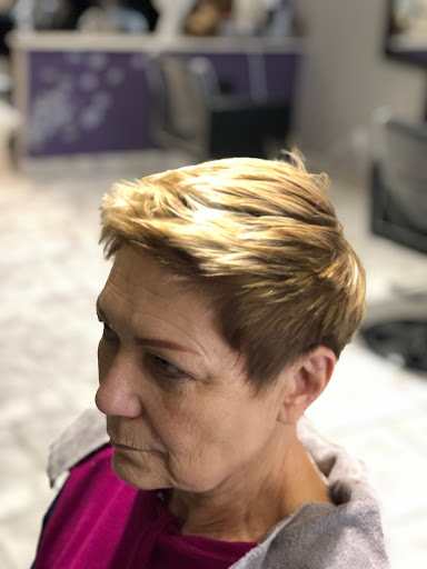 Hair Salon «Sahara Hair Salon», reviews and photos, 435 Amwell Rd #9, Hillsborough Township, NJ 08844, USA