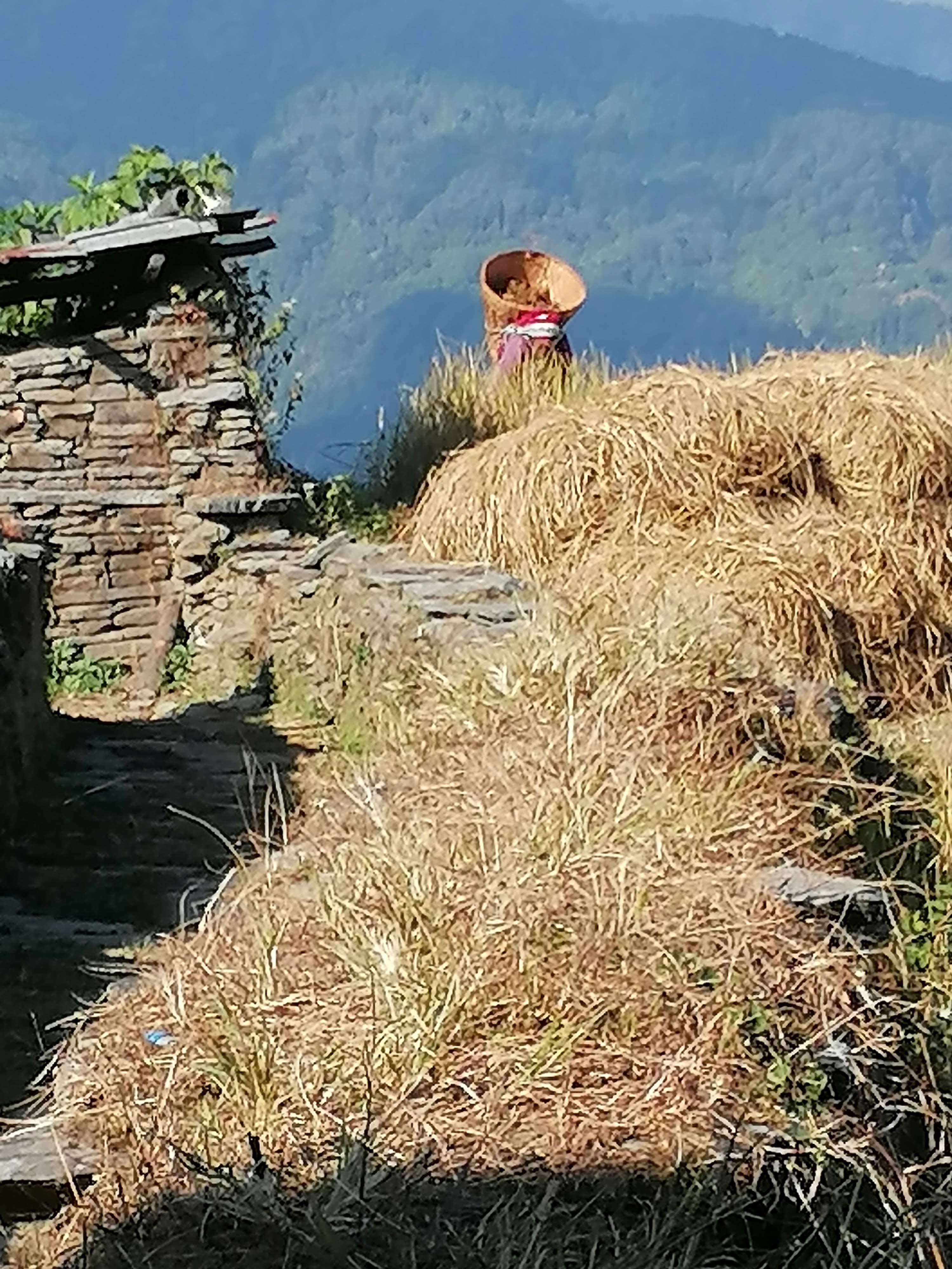 Photo n° 2 de l'avis de JY. fait le 07/12/2023 à 17:55
