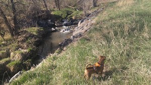 Arapaho Park - photo 99