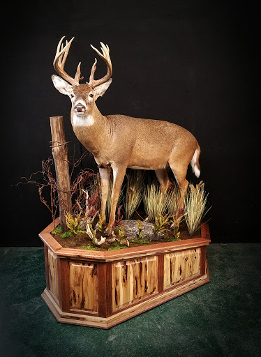 Taxidermist «HighPoint Taxidermy And Outfutters», reviews and photos, 14860 OH-13, Thornville, OH 43076, USA