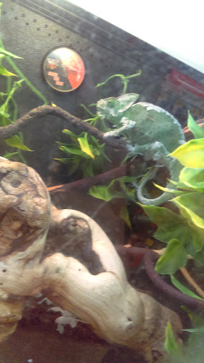 Pet Supply Store «PetSmart», reviews and photos, 10460 Town Center Dr, Westminster, CO 80021, USA