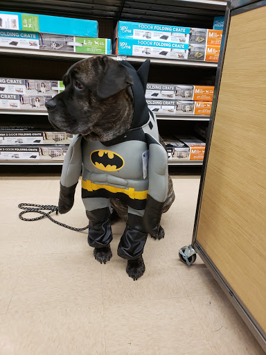 Pet Supply Store «Petco Animal Supplies», reviews and photos, 1465 Woodbury Ave, Portsmouth, NH 03801, USA