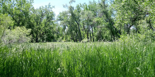 Park «South Platte Park and Carson Nature Center», reviews and photos, 3000 W Carson Dr, Littleton, CO 80120, USA