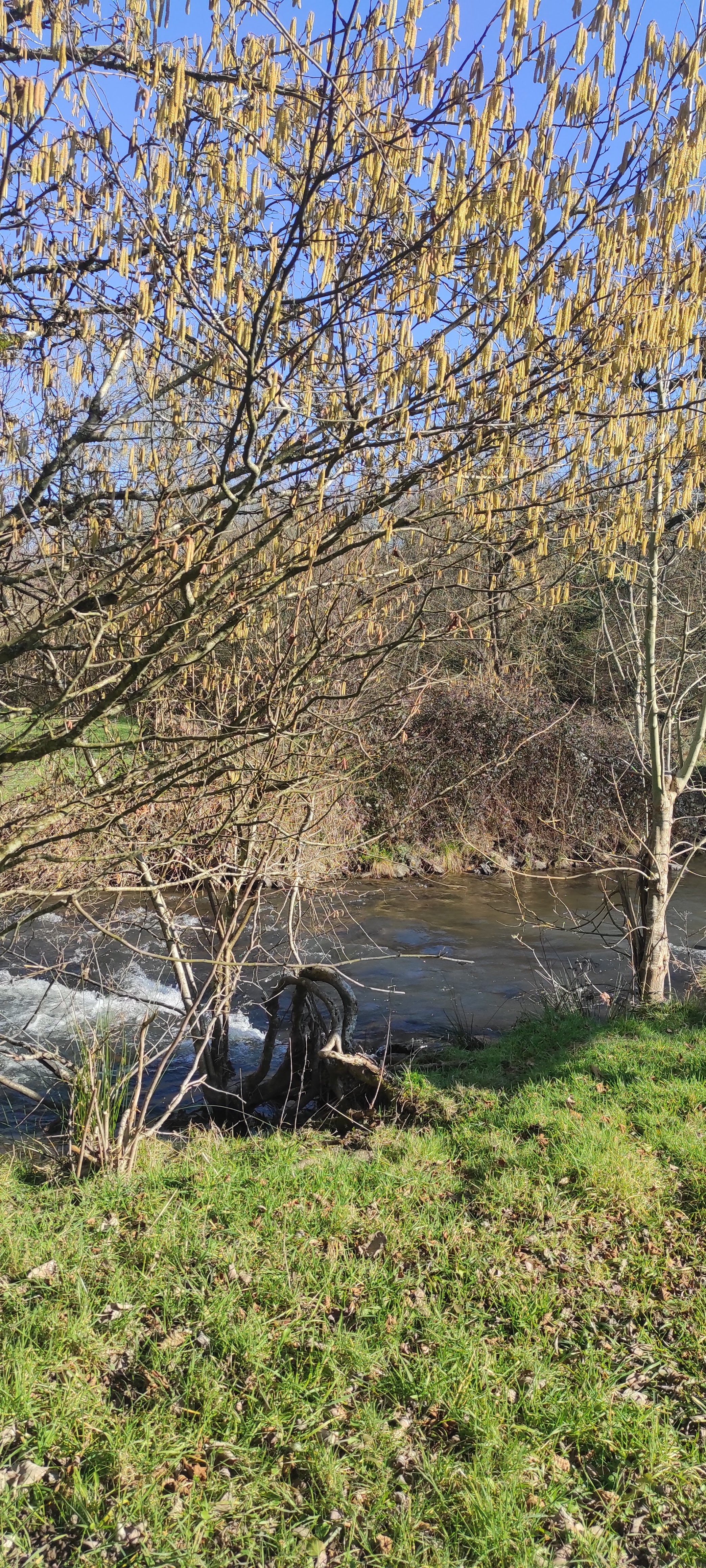 Photo n° 1 de l'avis de Laurence.o fait le 17/02/2023 à 20:20