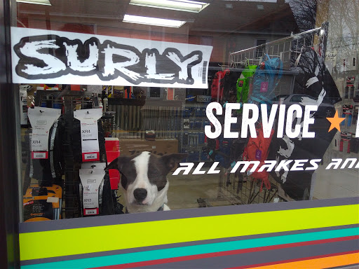 Bicycle Store «Revolution Bicycles», reviews and photos, 190 Main St, Saugerties, NY 12477, USA