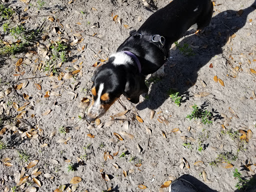 Dog Park «West Park», reviews and photos, 5812 N Occident St, Tampa, FL 33614, USA