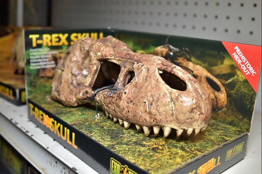 Pet Store «Pet World - Auburndale», reviews and photos, 3637 Havendale Blvd, Auburndale, FL 33823, USA