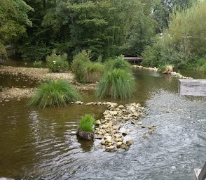 Photo n°10 de Marais de Vaux à Éclusier-Vaux ()
