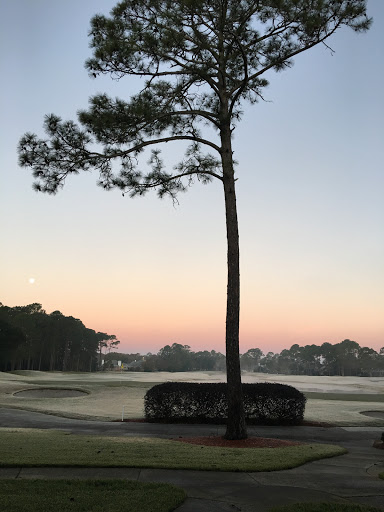 Golf Club «Jacksonville Golf & Country Club», reviews and photos, 3985 Hunt Club Rd N, Jacksonville, FL 32224, USA