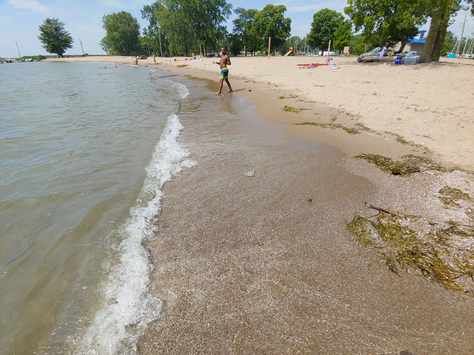 Cedar Beach Conservation Area photo #7