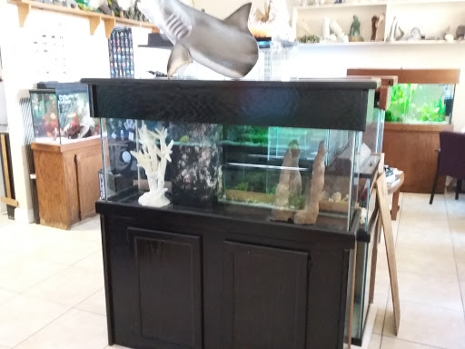 Tropical Fish Store «Top Hat Aquarium», reviews and photos, 18710 SW 107th Ave, Cutler Bay, FL 33157, USA