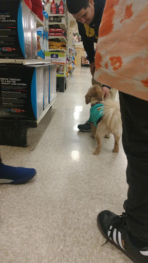 Pet Supply Store «PetSmart», reviews and photos, 1130 SE Everett Mall Way, Everett, WA 98208, USA