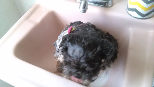 Beauty Salon «Ooh La La Salon», reviews and photos, 811 Locust St, Cambridge, MD 21613, USA