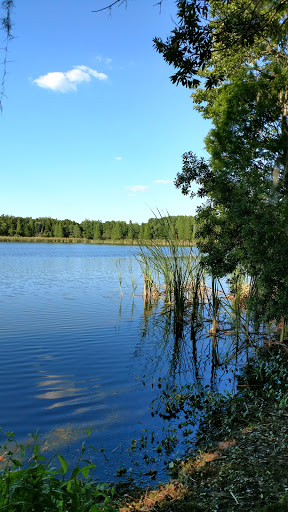 Park «Alafia River State Park», reviews and photos, 14326 S County Rd 39, Lithia, FL 33547, USA