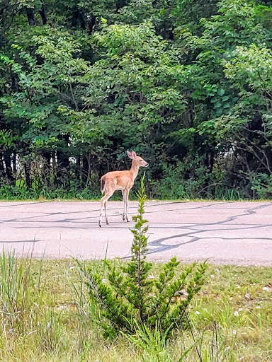 Spring Creek Trail – Integris Trailhead