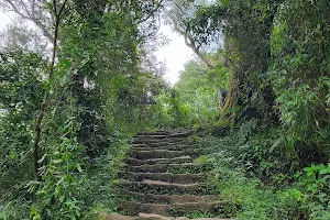 Dadongshan Trail image