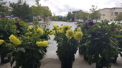 Convenience Store «Ridge Super Market», reviews and photos, 7730 Center Blvd SE, Snoqualmie, WA 98065, USA