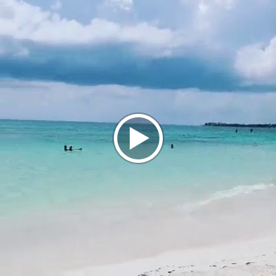 Travel Agency «Tickets Confirmed - Travel Agency», reviews and photos, 704 S Milwaukee Ave, Wheeling, IL 60090, USA