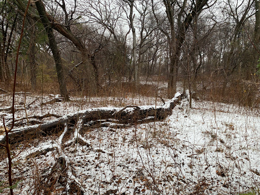 Park «Valley Ridge Park», reviews and photos, 2850 Park Ridge Dr, Cedar Hill, TX 75104, USA