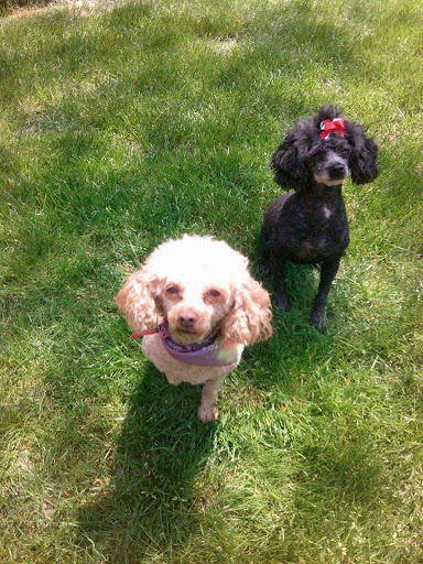 481 Main St, Wakefield, RI 02879, USA