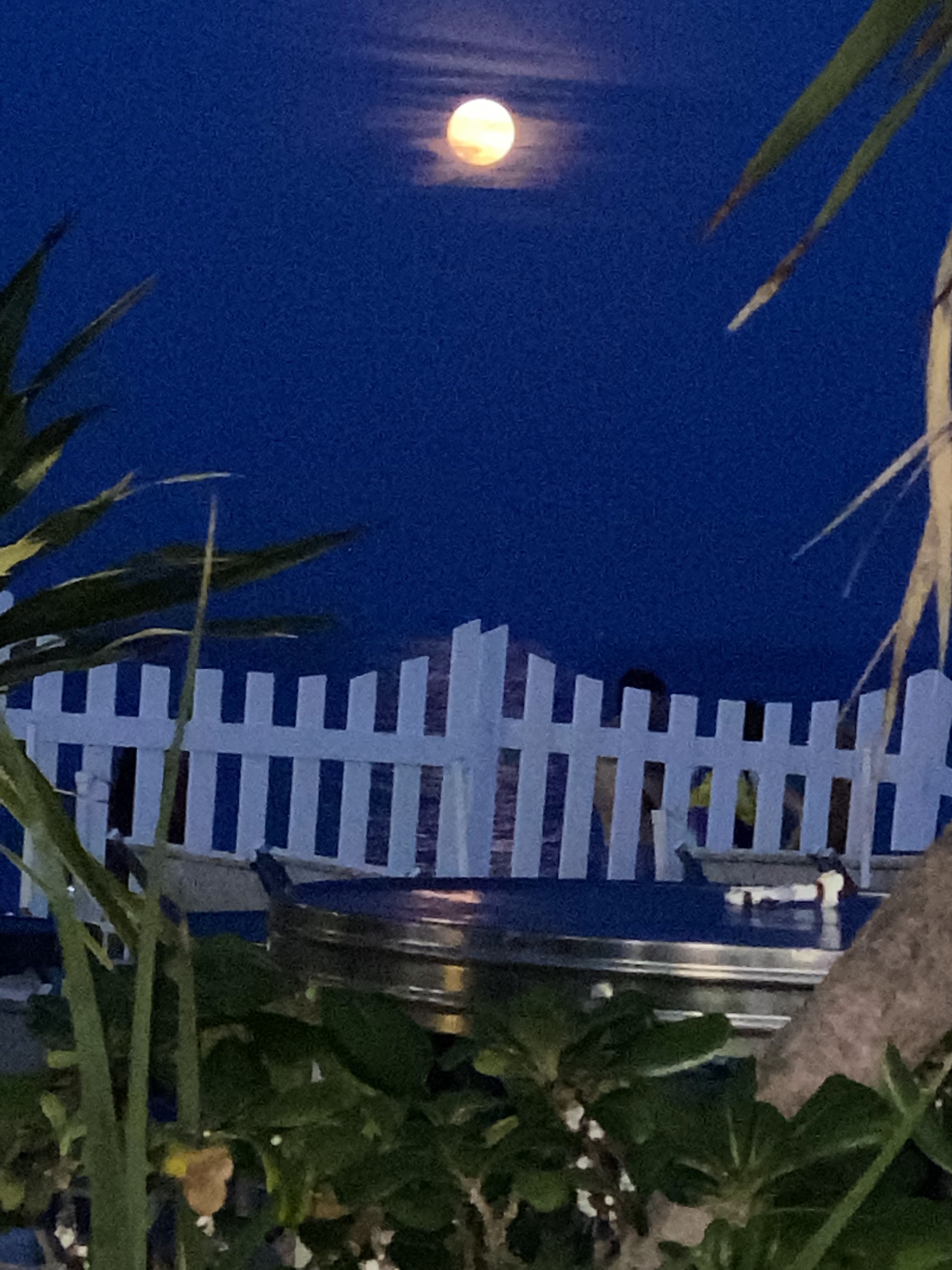 Photo n° 7 de l'avis de Marc.a fait le 20/08/2021 à 21:09