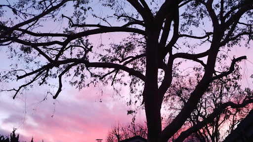 Museum «The Museum of Flight», reviews and photos, 9404 E Marginal Way S, Seattle, WA 98108, USA