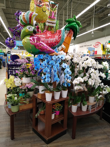 Grocery Store «ACME Markets», reviews and photos, 236 E Glenwood Ave, Smyrna, DE 19977, USA