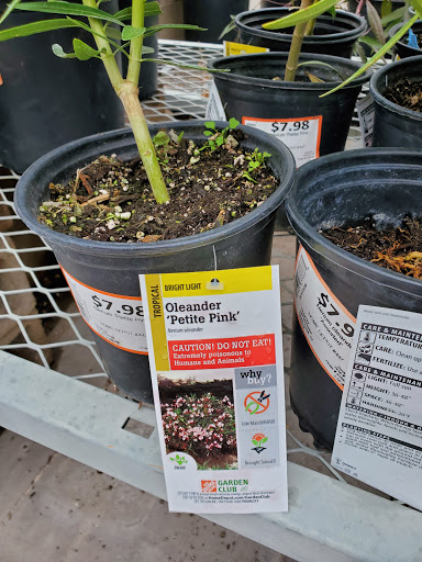 Home Improvement Store «The Home Depot», reviews and photos, 5230 W Baseline Rd, Laveen Village, AZ 85339, USA