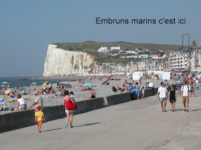 Trimaran Mers les Bains location vacance à Mers-les-Bains