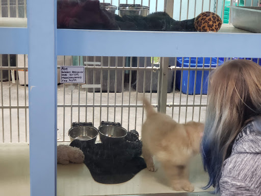 Pet Store «Animart», reviews and photos, 4303 E Towne Way, Madison, WI 53704, USA