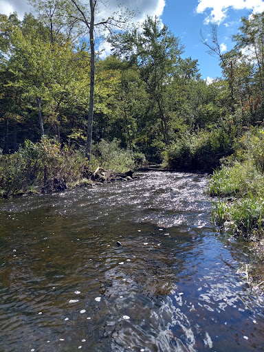 Tourist Attraction «Black Ledge Falls», reviews and photos, Hebron Ave, Glastonbury, CT 06033, USA